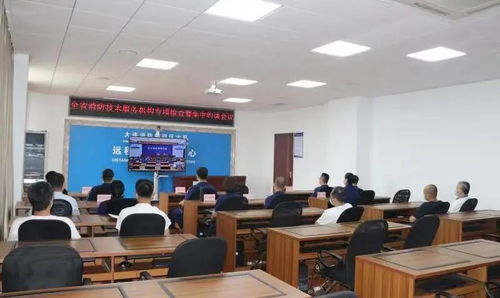 消防技術服務機構因違規執業被依法處罰