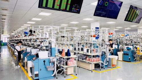 數字技術賦能智慧時尚 浙江諸暨以科技驅動產業高質量發展，助力構建雙循環新格局