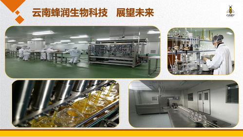 云南蜂潤集結愛心，科技助殘奧健兒出征